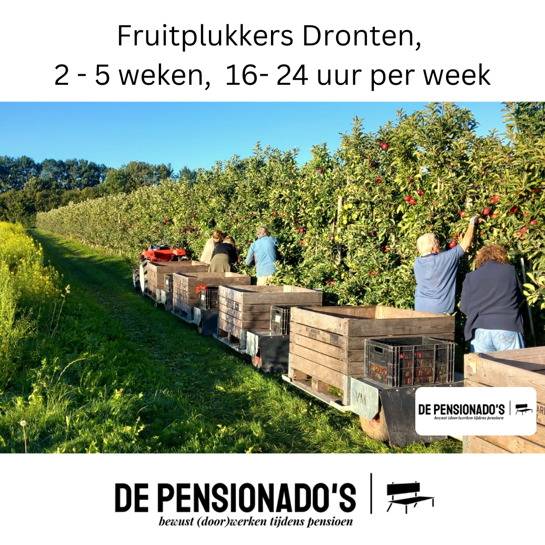 Fruitplukkers Dronten