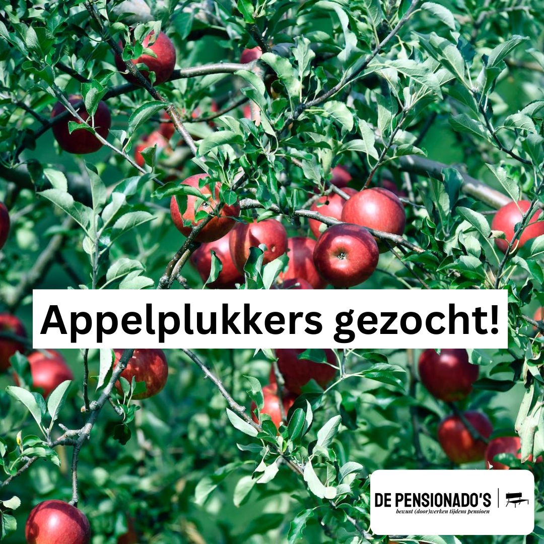 Appelplukkers Dronten